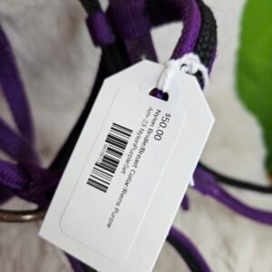 Nylon Bridle/Breast Collar/Reins Purple