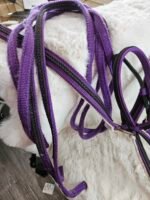 Nylon Bridle/Breast Collar/Reins Purple