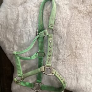 Nylon Halter Average LIme Green