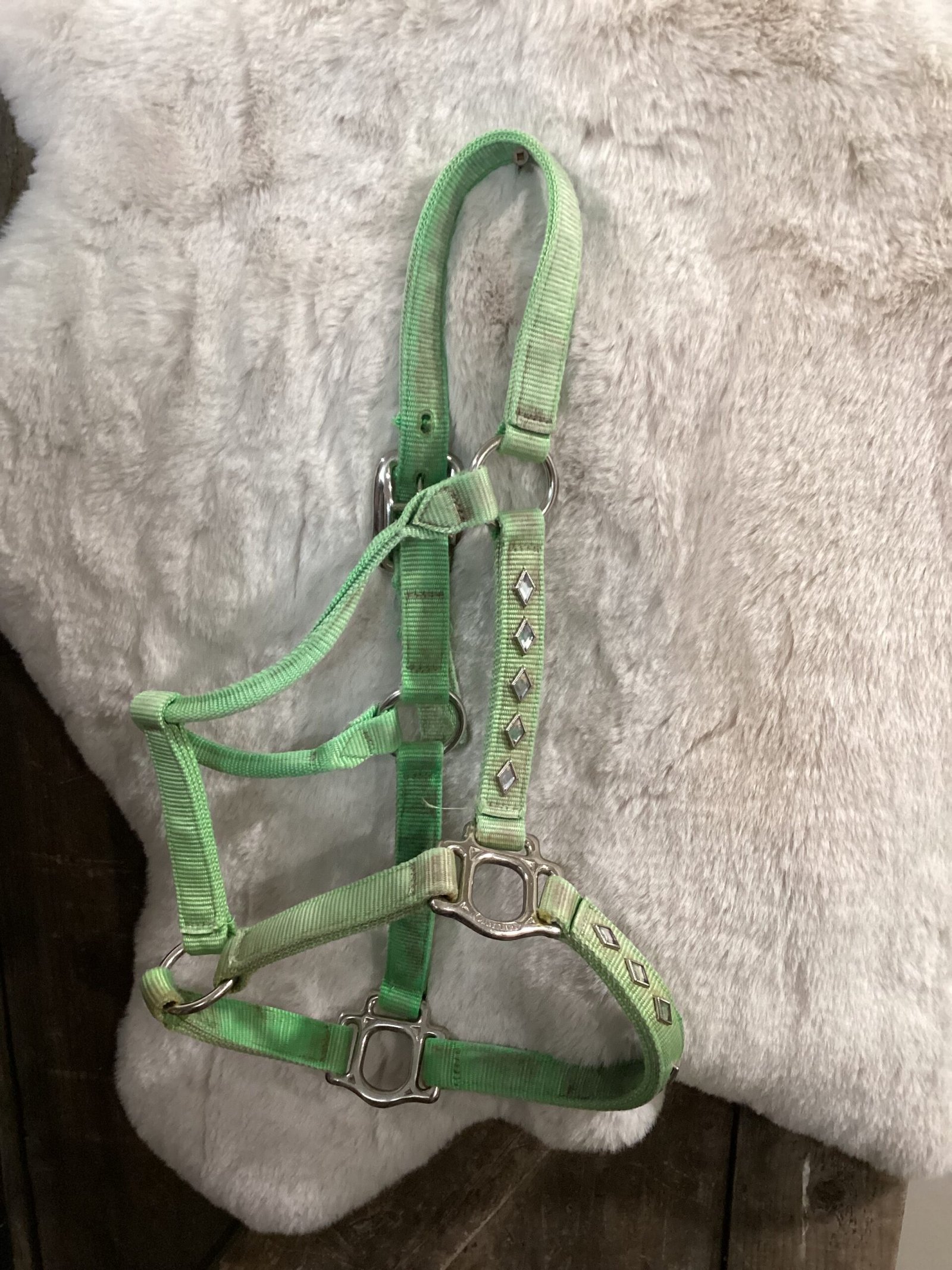 Nylon Halter Average LIme Green Nylon Halter Average LIme Green