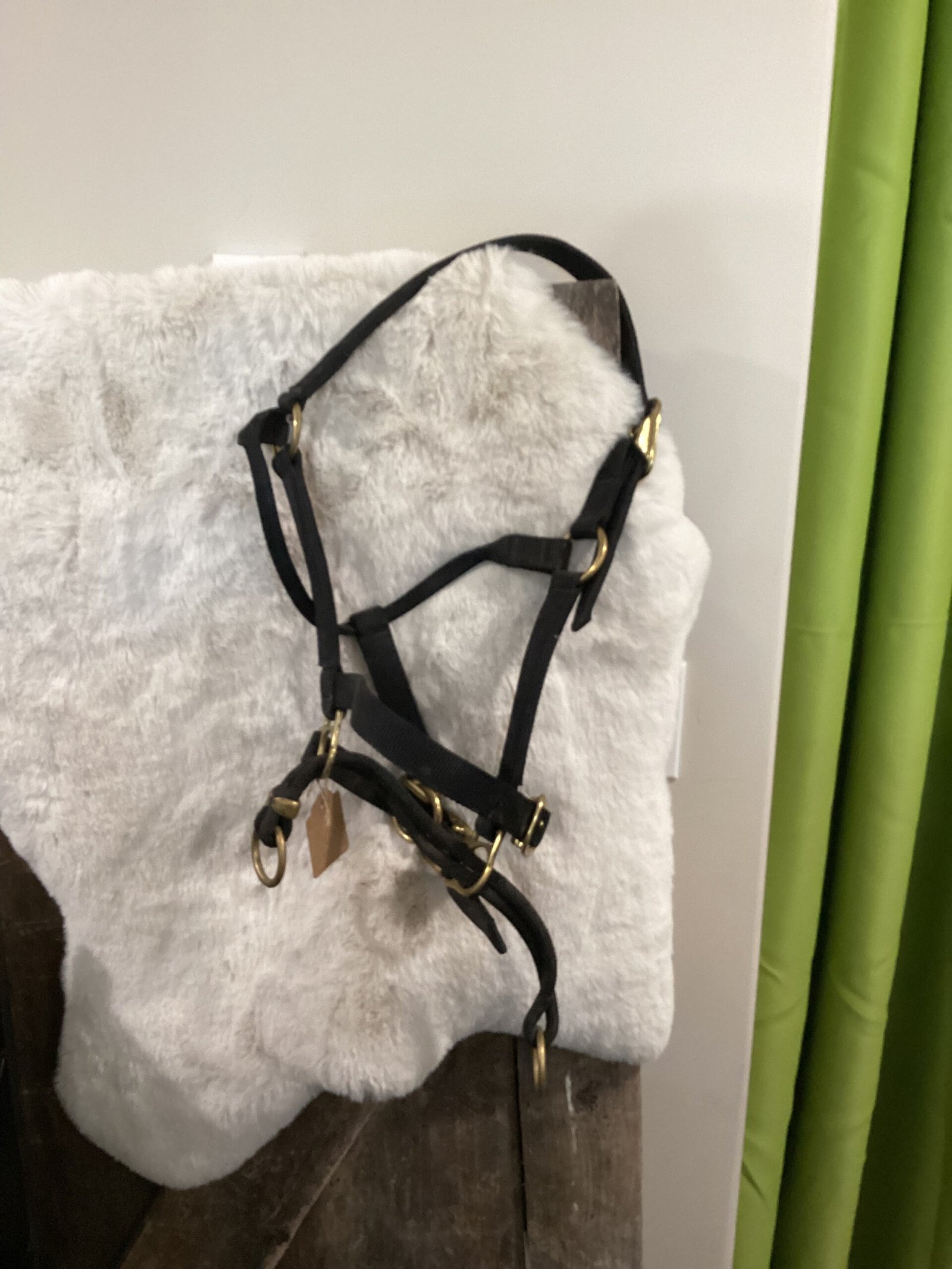 Nylon Halter Black with Rings Nylon Halter Black with Rings