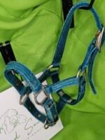 Nylon Halter Blue Foal