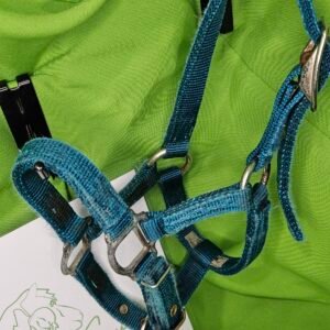 Nylon Halter Blue Foal