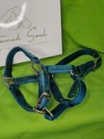 Nylon Halter Blue Foal
