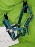 Nylon Halter Blue Foal