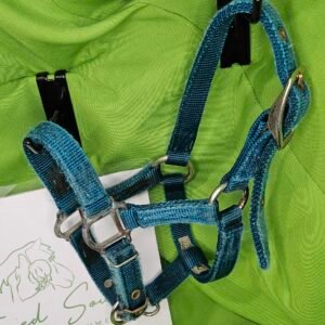 Nylon Halter Blue Foal