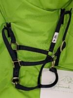 Nylon Halter Blue LG horse