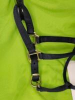 Nylon Halter Blue LG horse