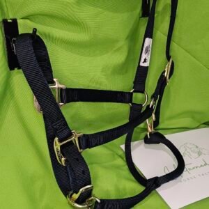 Nylon Halter Blue LG horse