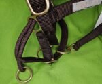 Nylon Halter Brown
