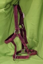 Nylon Halter Burgundy