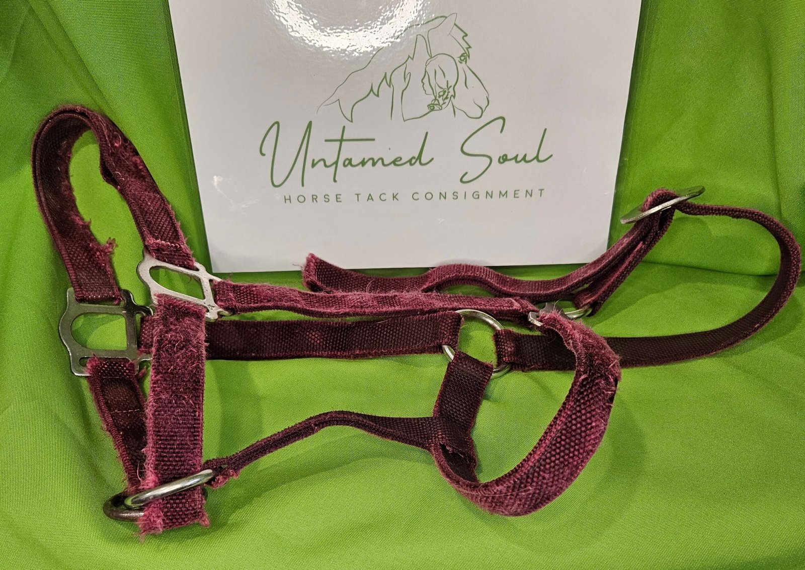 Nylon Halter Burgundy Nylon Halter Burgundy