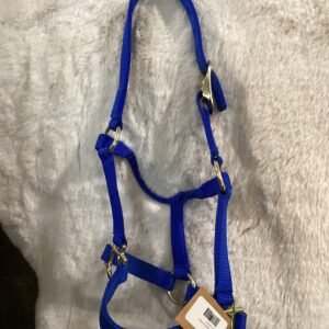 Nylon Halter Colt Blue