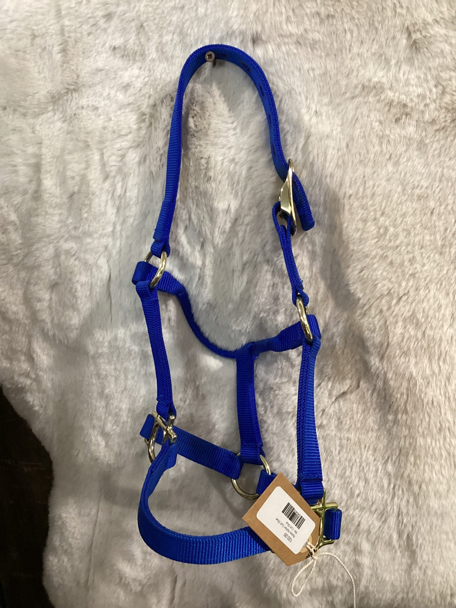 Nylon Halter Colt Blue Nylon Halter Colt Blue
