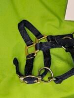 Nylon Halter Dark Blue Foal