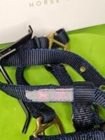 Nylon Halter Dark Blue Foal