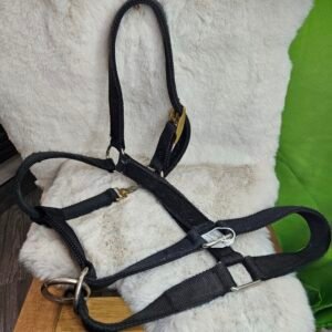 Nylon Halter Draft Black