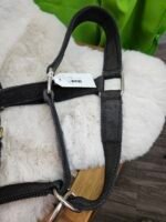 Nylon Halter Draft Black