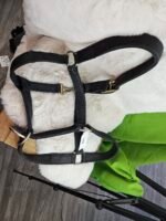 Nylon Halter Draft Black
