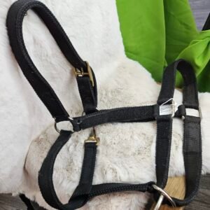 Nylon Halter Draft Black
