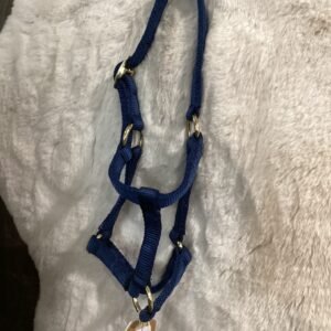 Nylon Halter Foal Blue