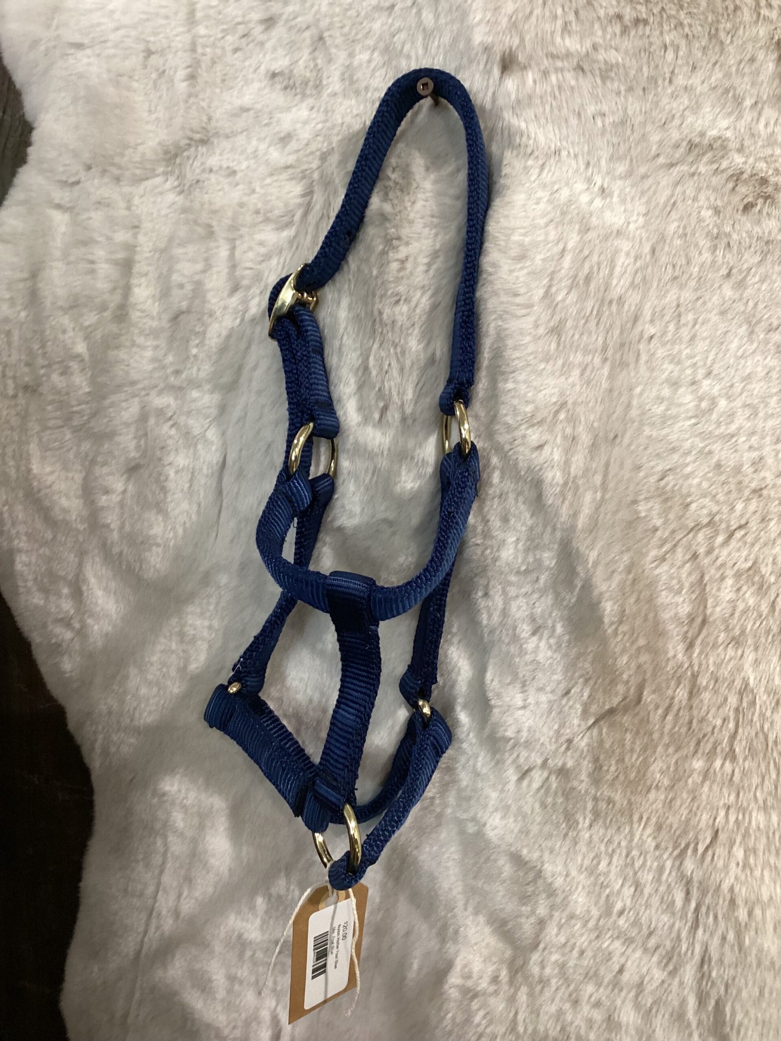 Nylon Halter Foal Blue Nylon Halter Foal Blue