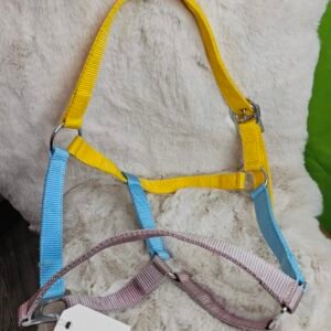 Nylon Halter Full Horse Blue/Yellow