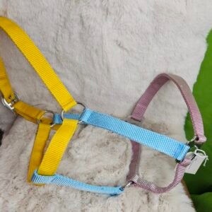 Nylon Halter Full Horse Blue/Yellow