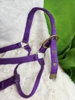 Nylon Halter Full Horse Purple