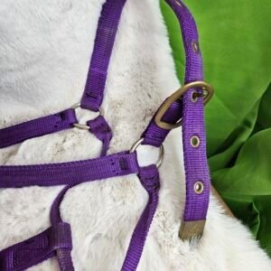 Nylon Halter Full Horse Purple