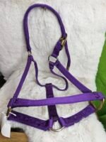 Nylon Halter Full Horse Purple