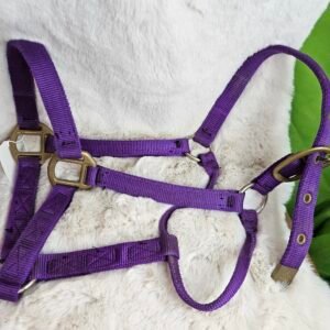 Nylon Halter Full Horse Purple