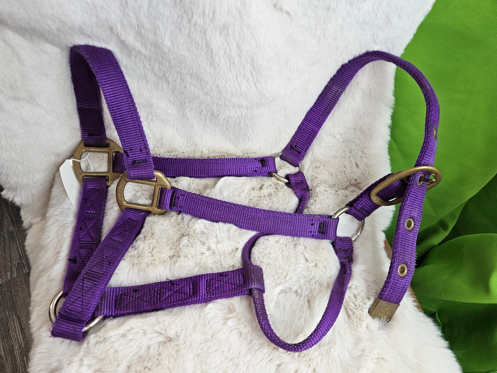 Nylon Halter Full Horse Purple Nylon Halter Full Horse Purple