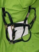 Nylon Halter Green