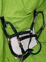 Nylon Halter Green