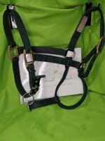 Nylon Halter Green