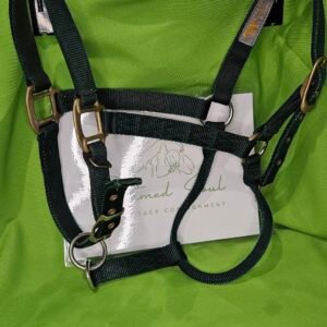 Nylon Halter Green