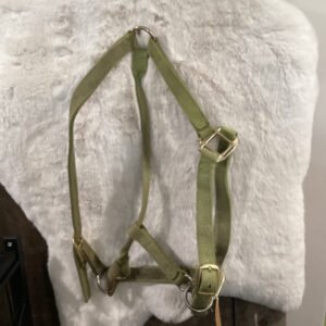 Nylon Halter Green with Cheek Snap