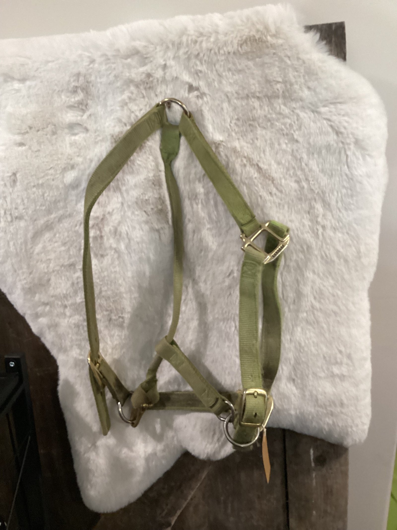 Nylon Halter Green with Cheek Snap Nylon Halter Green with Cheek Snap