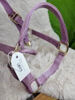 Nylon Halter Large Horse Lavender