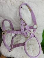 Nylon Halter Large Horse Lavender