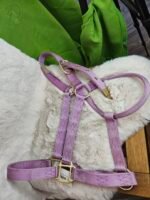 Nylon Halter Large Horse Lavender