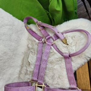 Nylon Halter Large Horse Lavender