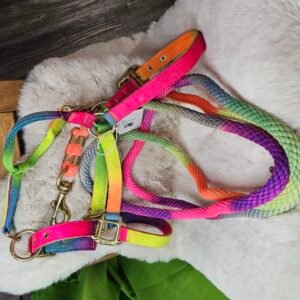 Nylon Halter & Lead Cob Multicolor
