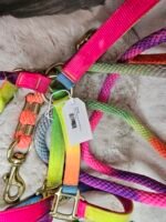 Nylon Halter & Lead Cob Multicolor