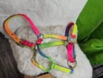 Nylon Halter & Lead Cob Multicolor