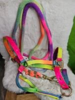 Nylon Halter & Lead Cob Multicolor