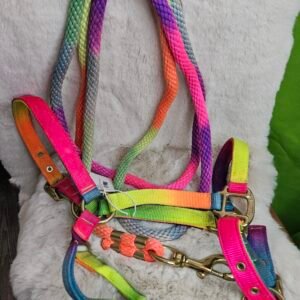 Nylon Halter & Lead Cob Multicolor