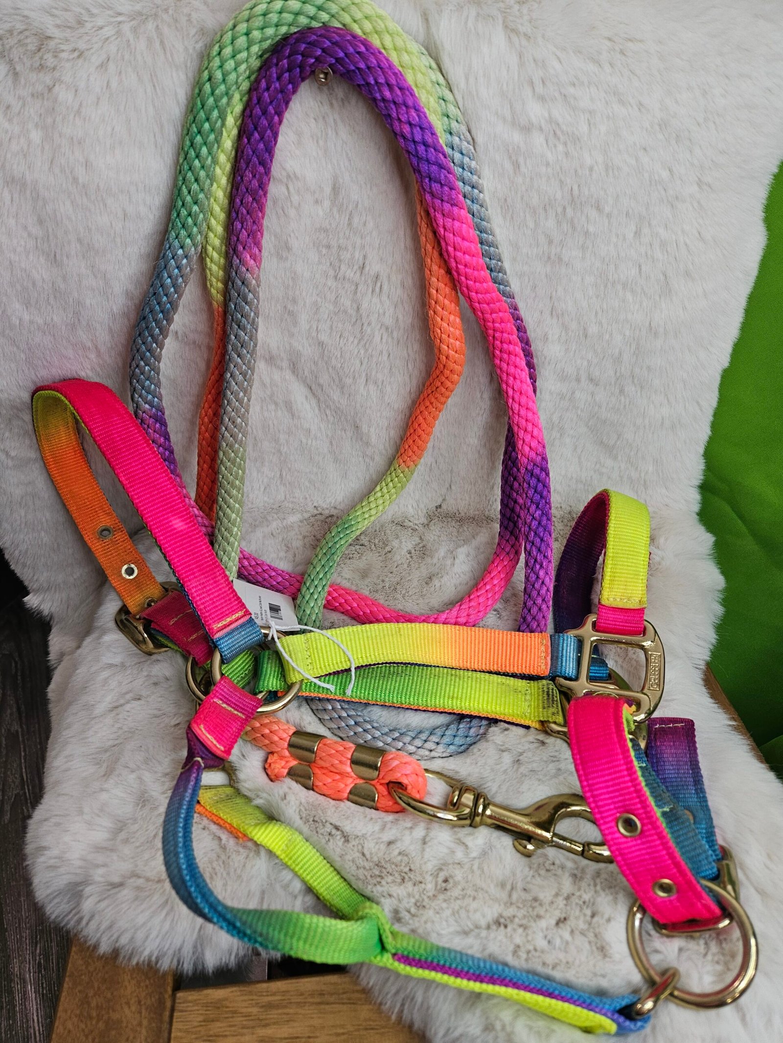 Nylon Halter & Lead Cob Multicolor Nylon Halter & Lead Cob Multicolor
