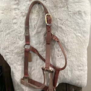 Nylon Halter Pink with Cheek Snap